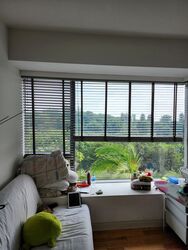 SilverSea (D15), Condominium #565240661